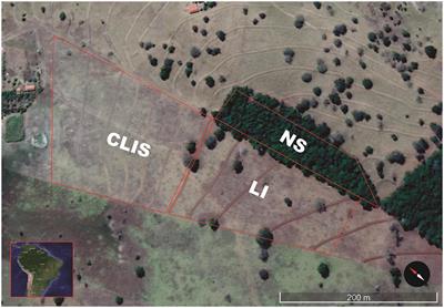 Short-Term Effect in Soil Microbial Community of Two Strategies of Recovering Degraded Area in Brazilian Savanna: A Pilot Case Study